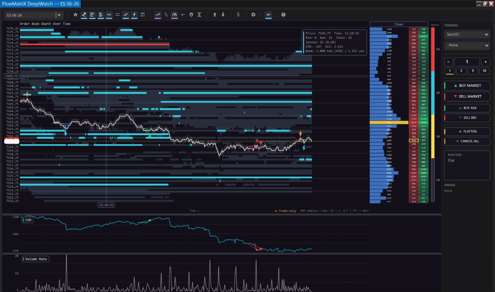 DeepWatch interface preview